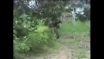 hot nasty raw hard african jungle fucking